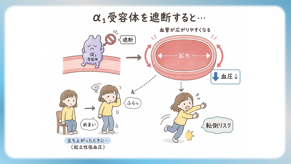 抗精神病薬の受容体プロファイル表の読みかた、副作用として試験頻出の悪性症候群を詳しく説明したブログ記事用のイラストです。この記事では、Ki値や内活性の意味から、SDA・MARTA・DSSの分類を数字で見抜く国試テクニックまで分かりやすく解説！Dr.しろねことこはくと一緒に、丸暗記を卒業して「薬の性格」をマスターしましょう。