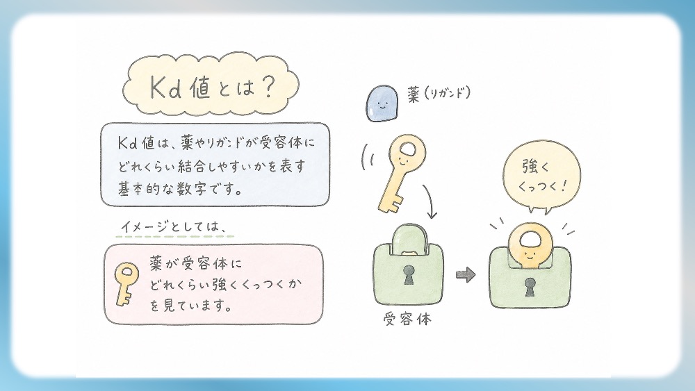 抗精神病薬の受容体プロファイル表の読みかた、副作用として試験頻出の悪性症候群を詳しく説明したブログ記事用のイラストです。この記事では、Ki値や内活性の意味から、SDA・MARTA・DSSの分類を数字で見抜く国試テクニックまで分かりやすく解説！Dr.しろねことこはくと一緒に、丸暗記を卒業して「薬の性格」をマスターしましょう。