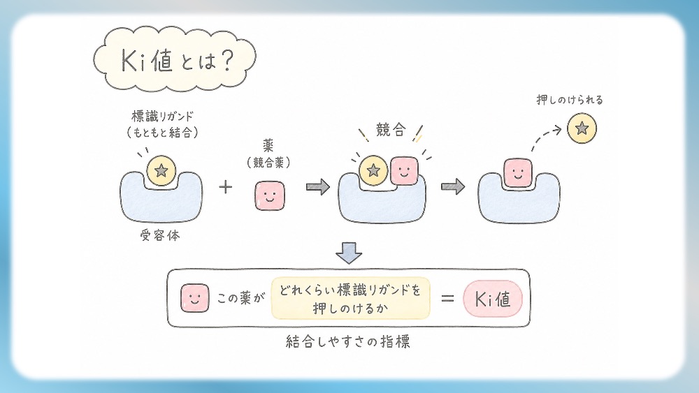 抗精神病薬の受容体プロファイル表の読みかた、副作用として試験頻出の悪性症候群を詳しく説明したブログ記事用のイラストです。この記事では、Ki値や内活性の意味から、SDA・MARTA・DSSの分類を数字で見抜く国試テクニックまで分かりやすく解説！Dr.しろねことこはくと一緒に、丸暗記を卒業して「薬の性格」をマスターしましょう。