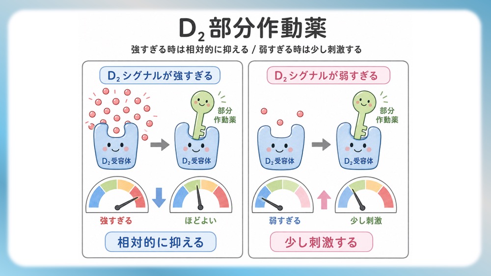 抗精神病薬の受容体プロファイル表の読みかた、副作用として試験頻出の悪性症候群を詳しく説明したブログ記事用のイラストです。この記事では、Ki値や内活性の意味から、SDA・MARTA・DSSの分類を数字で見抜く国試テクニックまで分かりやすく解説！Dr.しろねことこはくと一緒に、丸暗記を卒業して「薬の性格」をマスターしましょう。