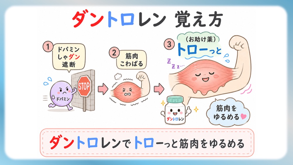 抗精神病薬の受容体プロファイル表の読みかた、副作用として試験頻出の悪性症候群を詳しく説明したブログ記事用のイラストです。この記事では、Ki値や内活性の意味から、SDA・MARTA・DSSの分類を数字で見抜く国試テクニックまで分かりやすく解説！Dr.しろねことこはくと一緒に、丸暗記を卒業して「薬の性格」をマスターしましょう。