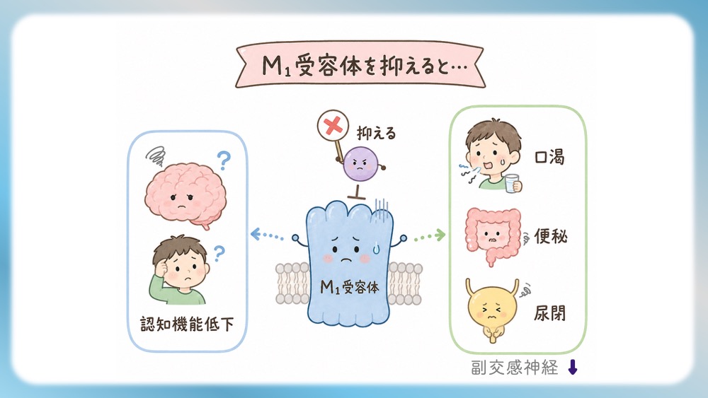 抗精神病薬の受容体プロファイル表の読みかた、副作用として試験頻出の悪性症候群を詳しく説明したブログ記事用のイラストです。この記事では、Ki値や内活性の意味から、SDA・MARTA・DSSの分類を数字で見抜く国試テクニックまで分かりやすく解説！Dr.しろねことこはくと一緒に、丸暗記を卒業して「薬の性格」をマスターしましょう。
