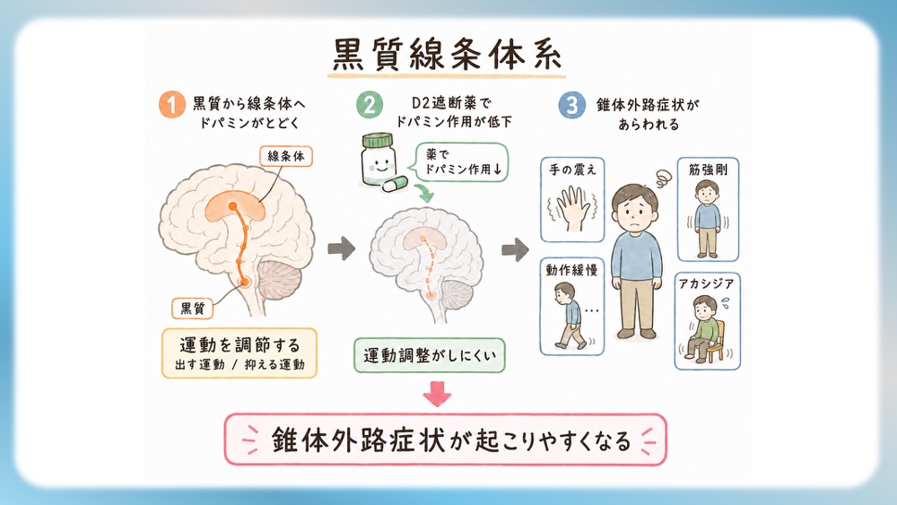 統合失調症の治療薬（抗精神病薬）が働く「4つのドパミン経路」の病態生理と、受容体シグナル伝達の分子メカニズムを視覚的に完全図解！第1世代・第2世代（非定型）の作用機序の違いや、副作用（錐体外路症状・高プロラクチン血症）が起こる「なぜ」を、感覚ではなく論理的に理解できます。CBTや国試対策はもちろん、現場で役立つ薬理学の決定版です。
