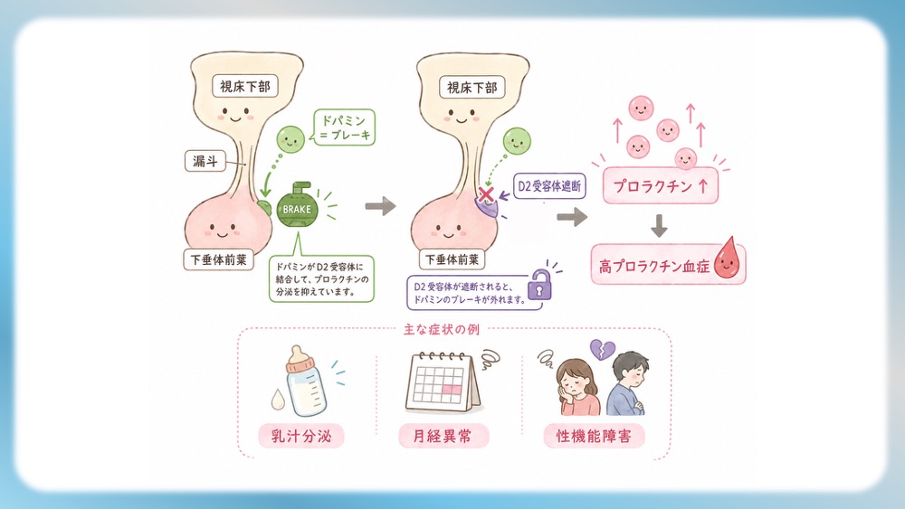 統合失調症の治療薬（抗精神病薬）が働く「4つのドパミン経路」の病態生理と、受容体シグナル伝達の分子メカニズムを視覚的に完全図解！第1世代・第2世代（非定型）の作用機序の違いや、副作用（錐体外路症状・高プロラクチン血症）が起こる「なぜ」を、感覚ではなく論理的に理解できます。CBTや国試対策はもちろん、現場で役立つ薬理学の決定版です。