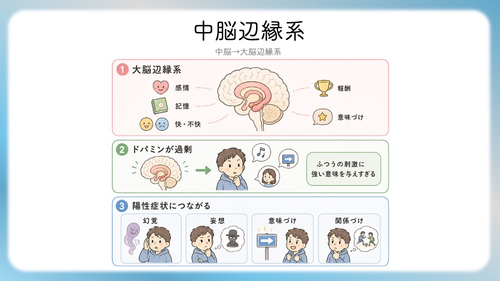 統合失調症の治療薬（抗精神病薬）が働く「4つのドパミン経路」の病態生理と、受容体シグナル伝達の分子メカニズムを視覚的に完全図解！第1世代・第2世代（非定型）の作用機序の違いや、副作用（錐体外路症状・高プロラクチン血症）が起こる「なぜ」を、感覚ではなく論理的に理解できます。CBTや国試対策はもちろん、現場で役立つ薬理学の決定版です。