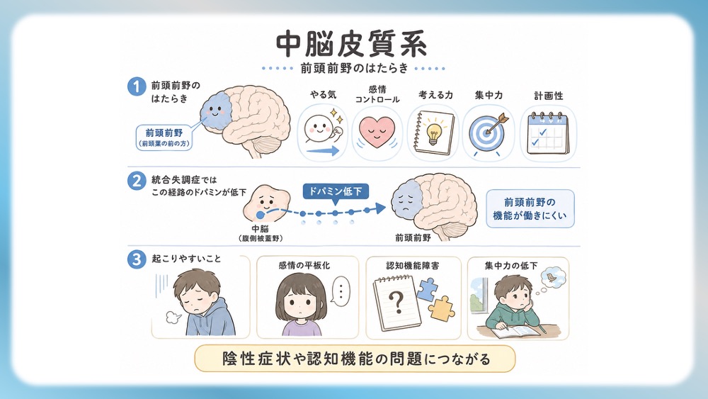 統合失調症の治療薬（抗精神病薬）が働く「4つのドパミン経路」の病態生理と、受容体シグナル伝達の分子メカニズムを視覚的に完全図解！第1世代・第2世代（非定型）の作用機序の違いや、副作用（錐体外路症状・高プロラクチン血症）が起こる「なぜ」を、感覚ではなく論理的に理解できます。CBTや国試対策はもちろん、現場で役立つ薬理学の決定版です。