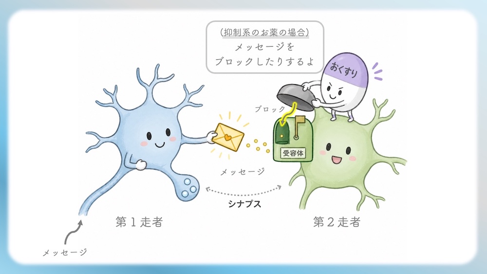 この図は、私たちの「心と体」を支配する脳内の情報伝達メカニズムを可視化したものです。神経細胞同士のわずかな隙間(シナプス)で行われるメッセージ交換の様子と、そこに「薬」がどう介入し、スイッチを切り替えるのかを論理的に示しています。 単なる暗記ではなく、受容体結合の「物理的・生化学的ロジック」を理解することで、薬理学の深淵が見えてきます。この本質的な理解こそが、臨床での適切な判断や試験対策の最短ルートとなり、医療者としての揺るぎない専門性を築く礎となります。